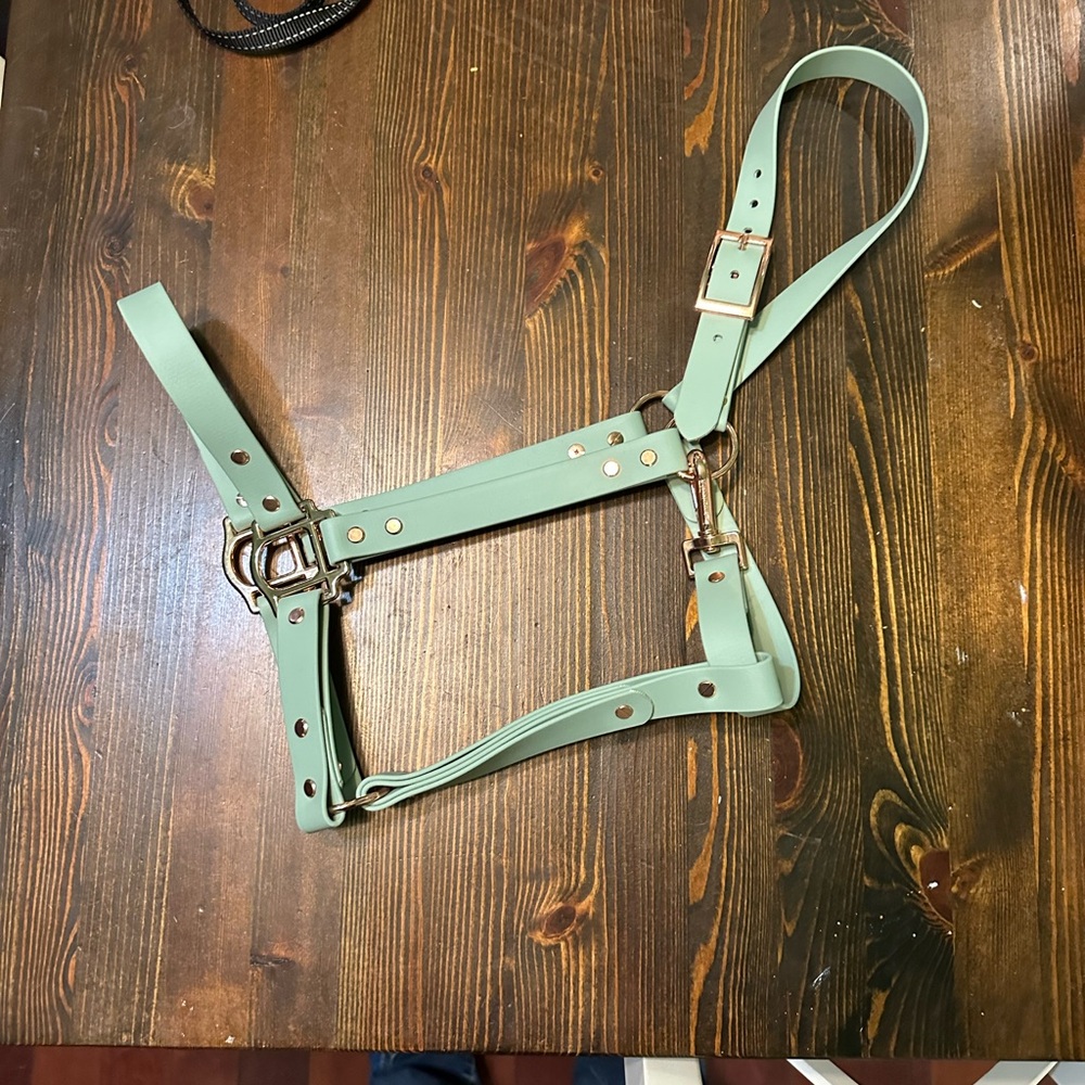 Sage Green BioThane Horse Halter